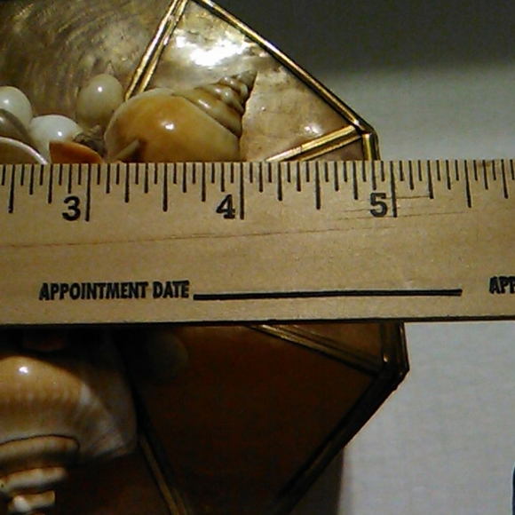 Shell Box - Picture 8 of 8